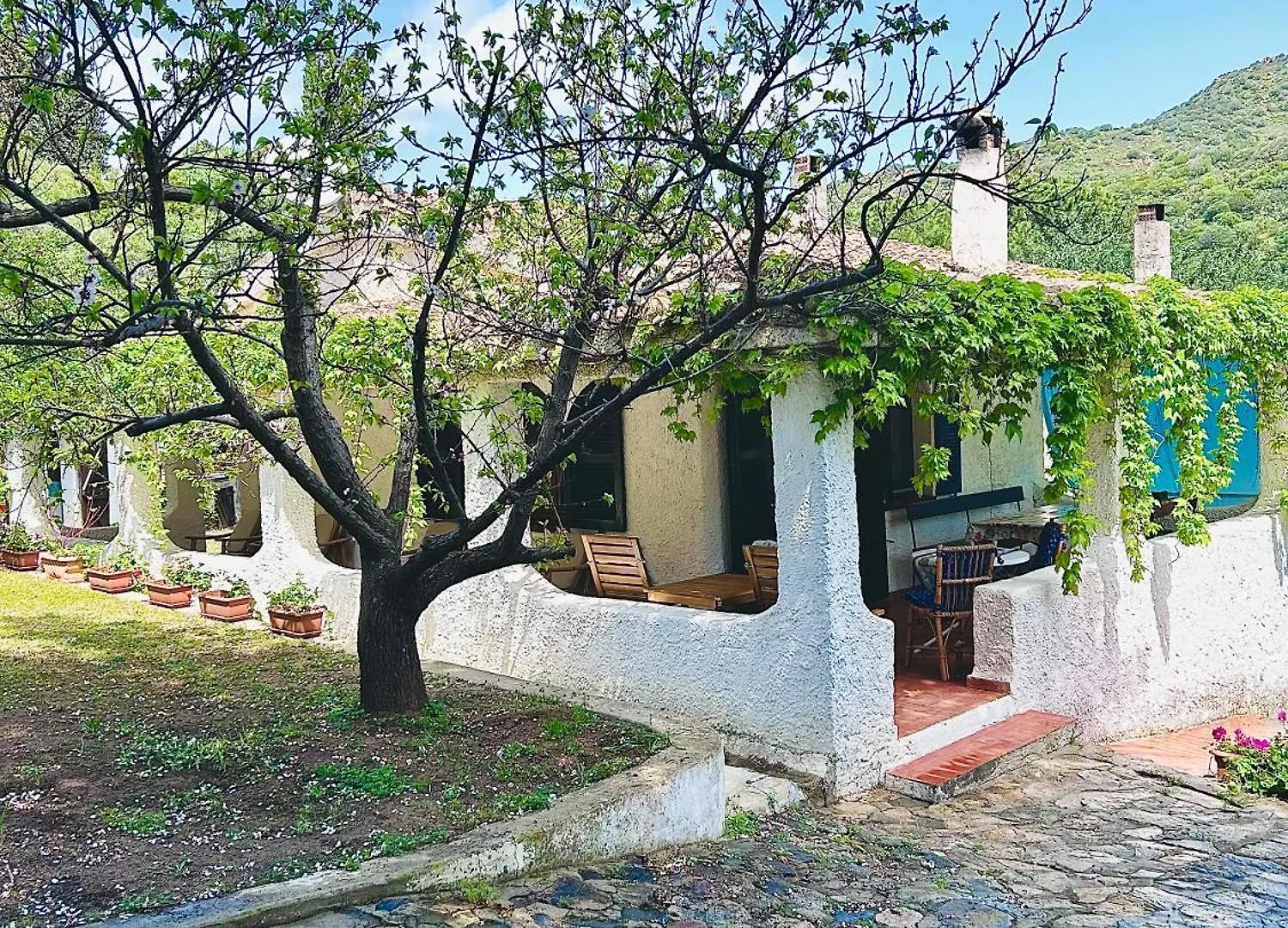Villa Stella, With Garden, Five Minutes From The Beach Torre delle Stelle 0*,  Italy