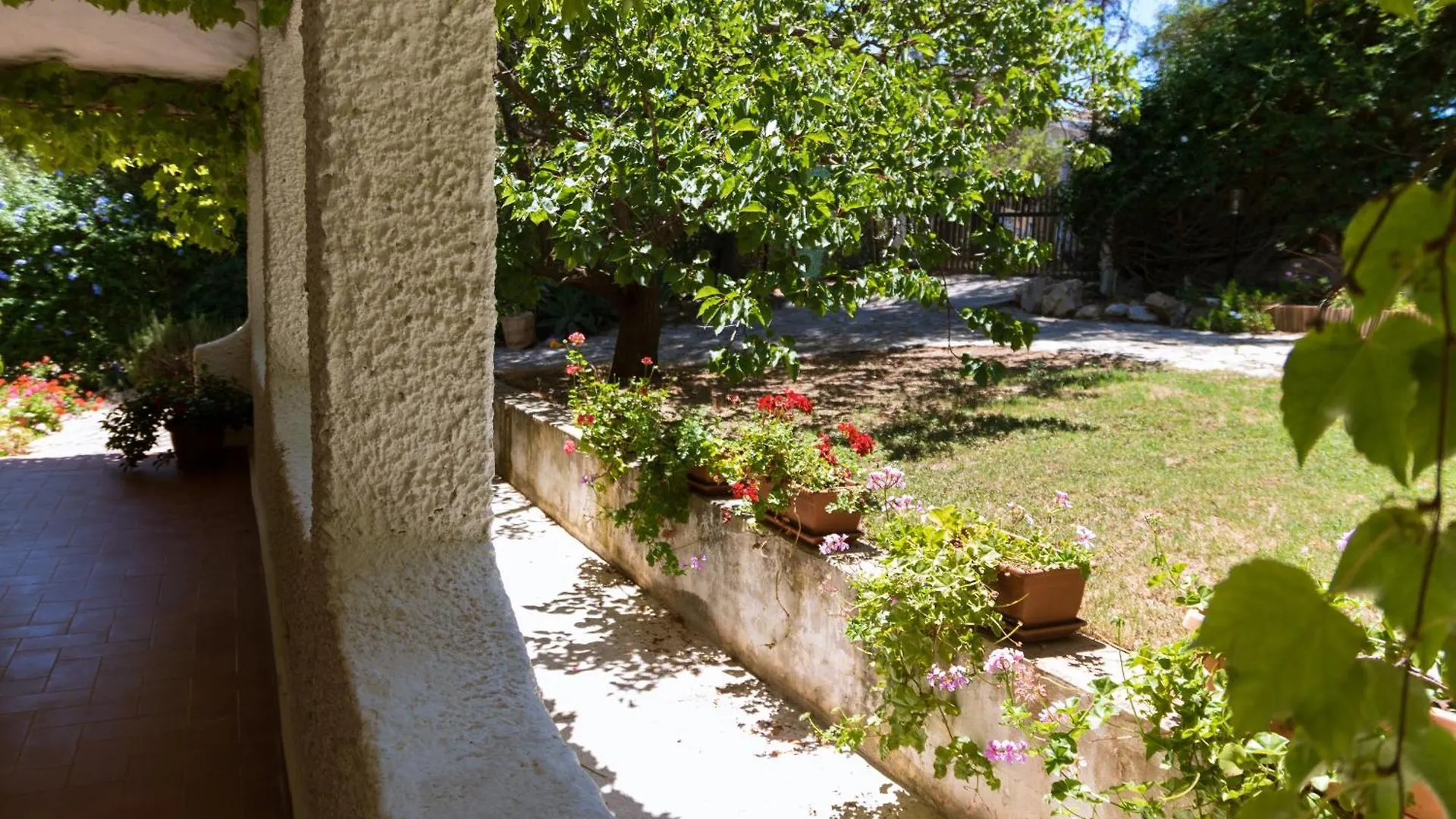 בית נופש טורה דלה סטלה Villa Stella, With Garden, Five Minutes From The Beach
