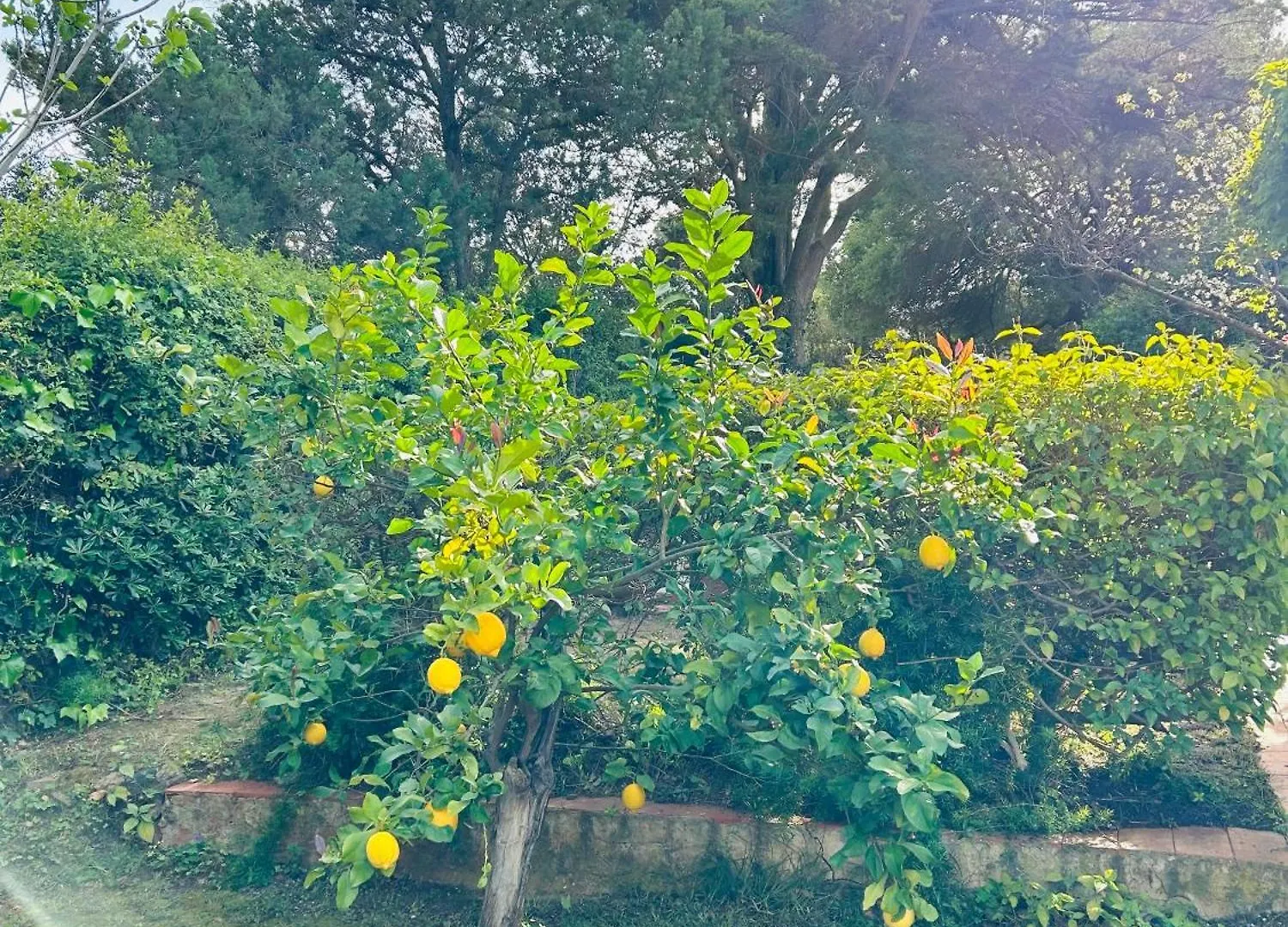 Villa Stella, With Garden, Five Minutes From The Beach トッレ・デッレ・ステッレ 0*,  イタリア