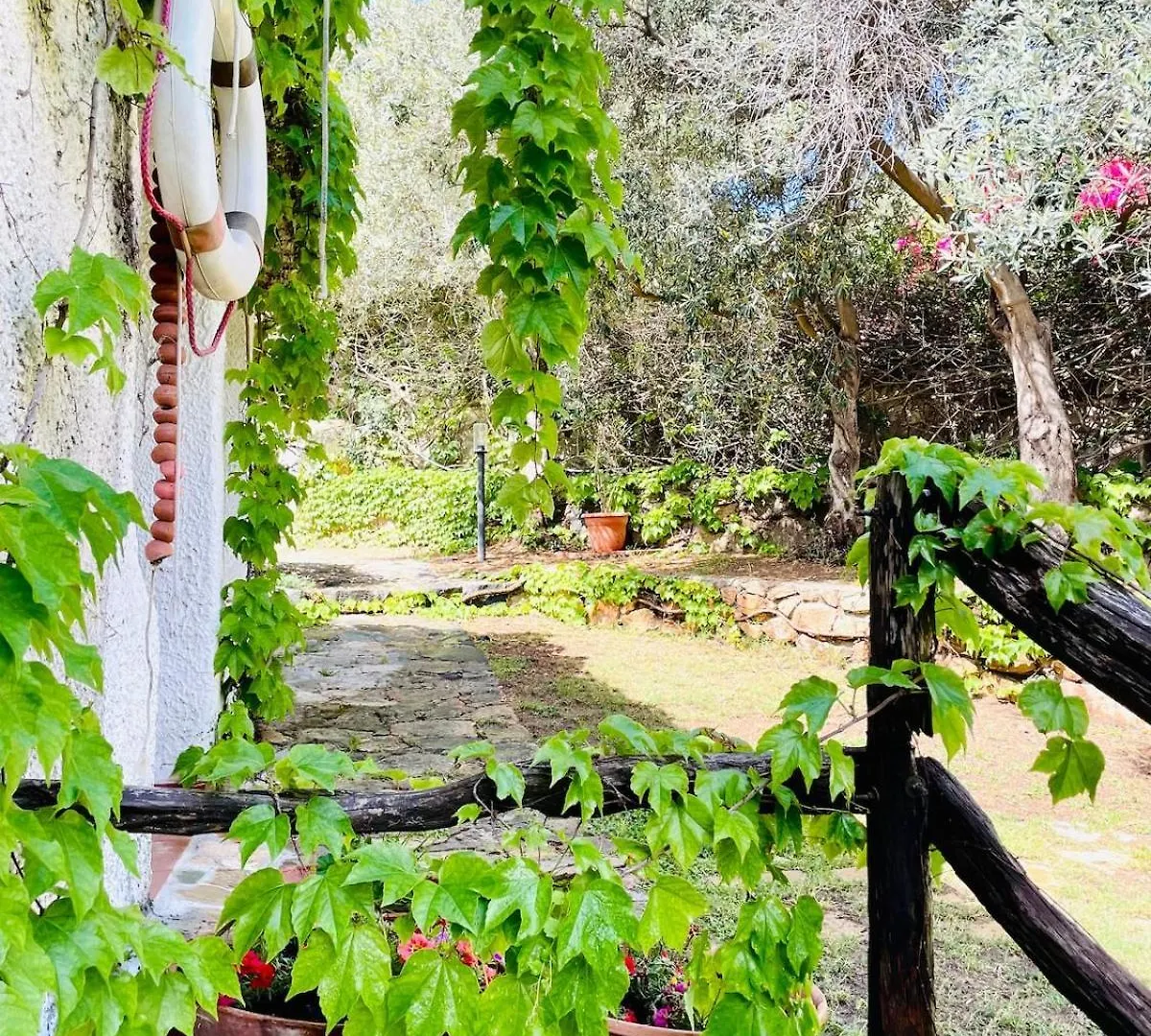 Villa Stella, With Garden, Five Minutes From The Beach トッレ・デッレ・ステッレ 別荘
