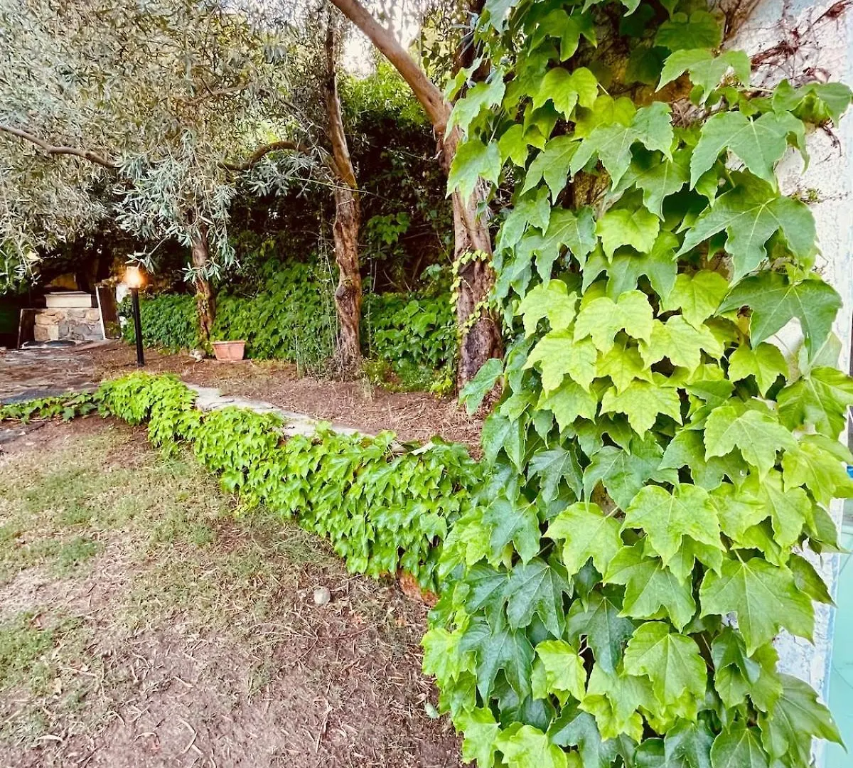 Villa Stella, With Garden, Five Minutes From The Beach トッレ・デッレ・ステッレ