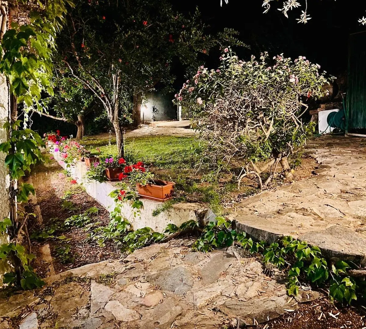 別荘 Villa Stella, With Garden, Five Minutes From The Beach トッレ・デッレ・ステッレ