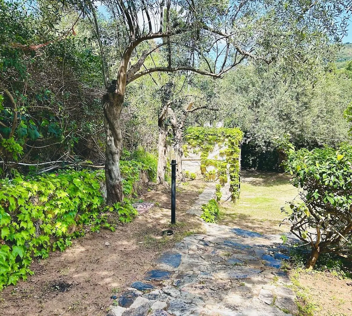 Villa Stella, With Garden, Five Minutes From The Beach トッレ・デッレ・ステッレ 別荘