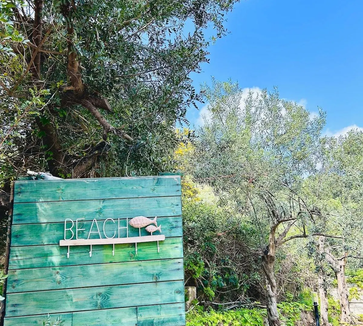 Villa Stella, With Garden, Five Minutes From The Beach トッレ・デッレ・ステッレ 0*,