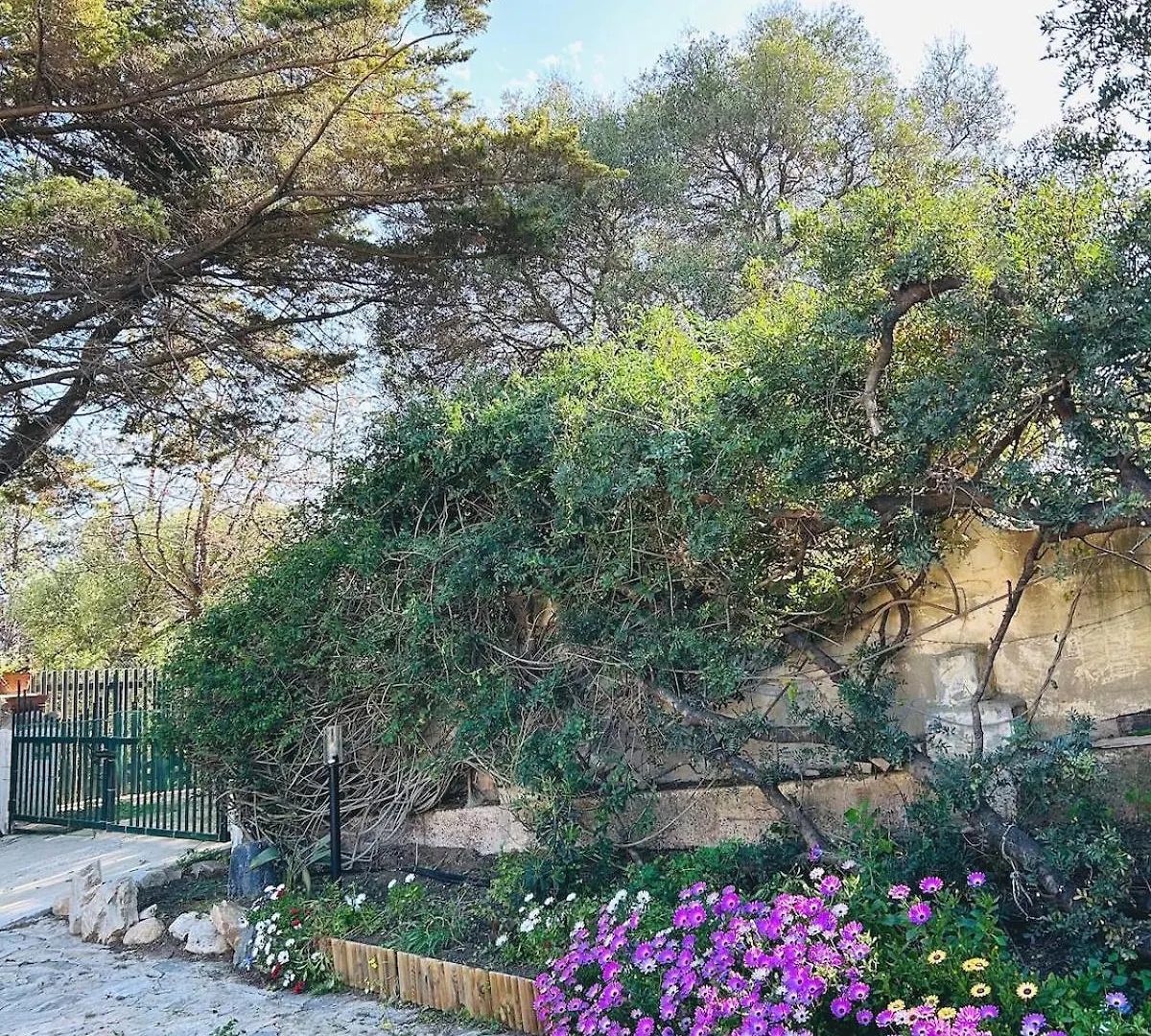 Villa Stella, With Garden, Five Minutes From The Beach トッレ・デッレ・ステッレ 別荘