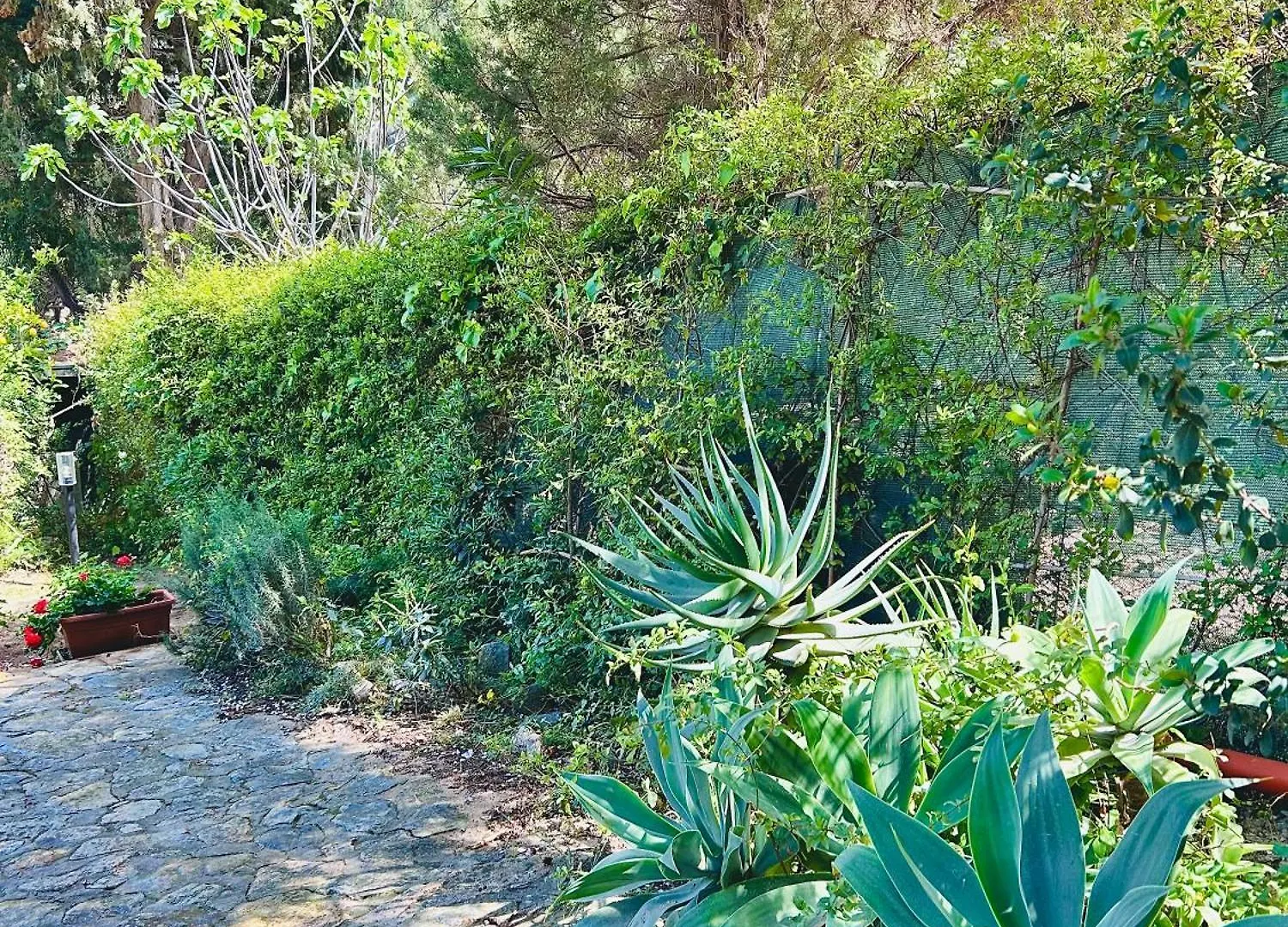 別荘 Villa Stella, With Garden, Five Minutes From The Beach トッレ・デッレ・ステッレ