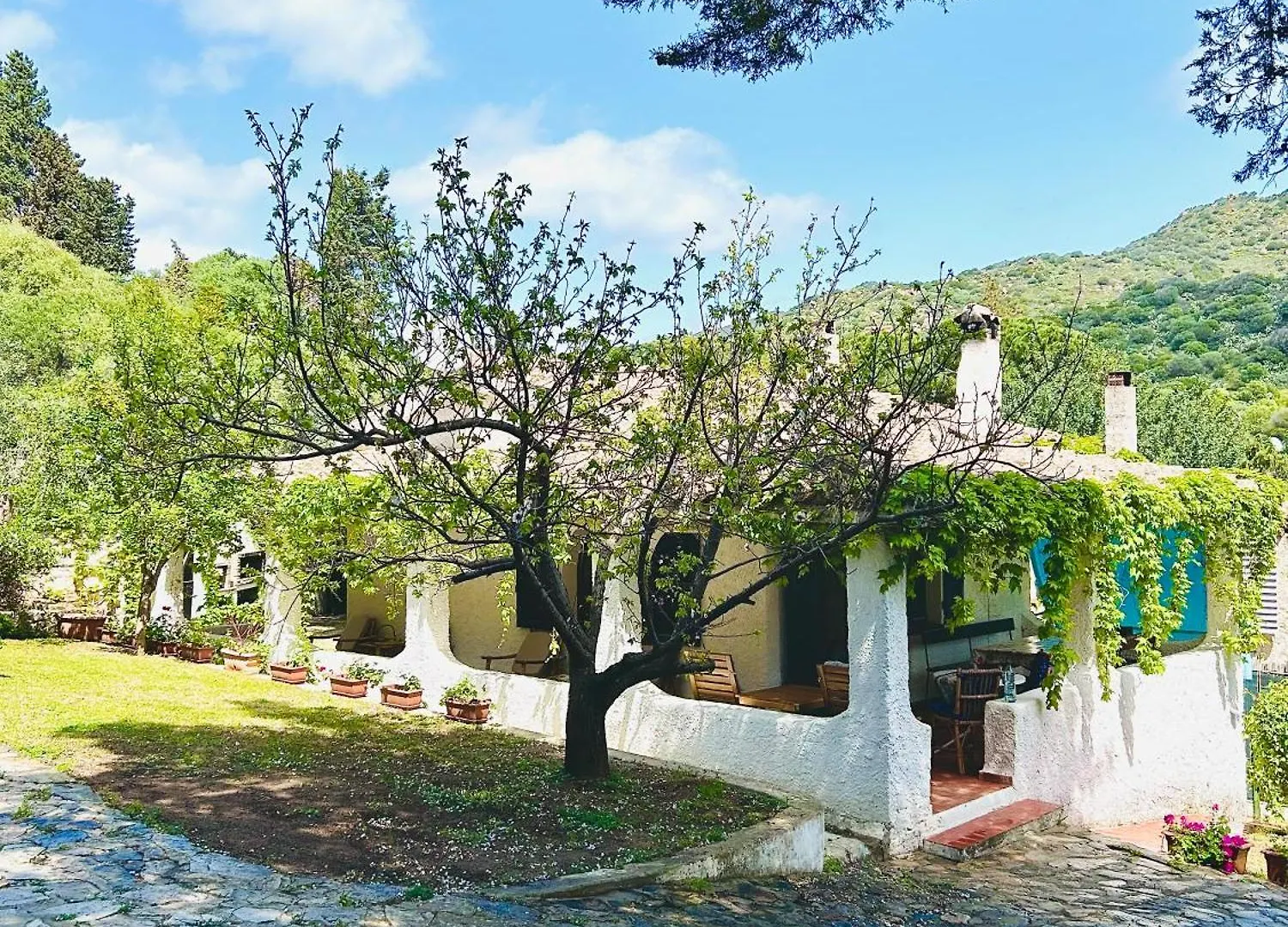 別荘 Villa Stella, With Garden, Five Minutes From The Beach トッレ・デッレ・ステッレ