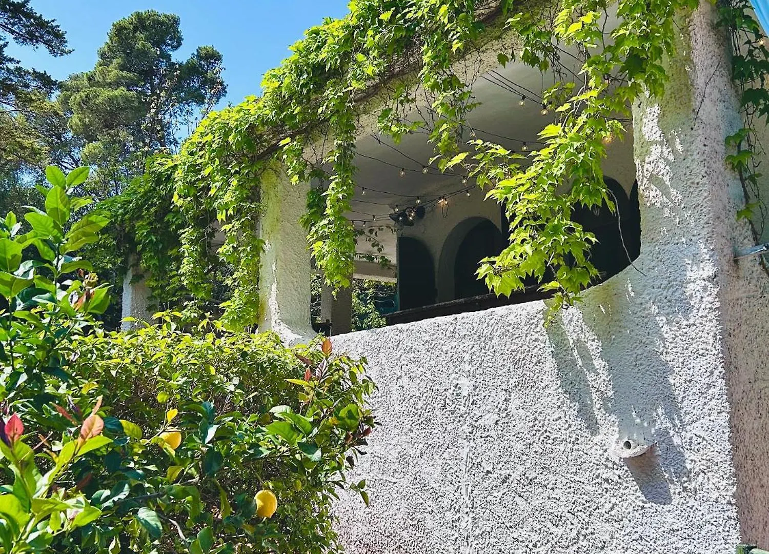 Villa Stella, With Garden, Five Minutes From The Beach トッレ・デッレ・ステッレ 0*,